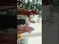 Download Lagu SELAMAT HARI RAYA IDUL FITRI 🙏🏻