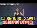 Download Lagu NEW DJ BRONDOL SAWIT X DJ SELIMUT TETANGGA‼️DUGEM FUNKOT TERBARU 2025