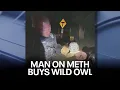 Payson man on meth buys owl from gas station arrested for DUI