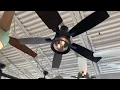 tour of the Menards special order ceiling fan section June 2022