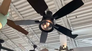 tour of the Menards special order ceiling fan section June 2022