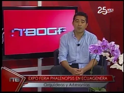 Expo feria Phalenopsis en Ecuagenera orquídeas y artesanías