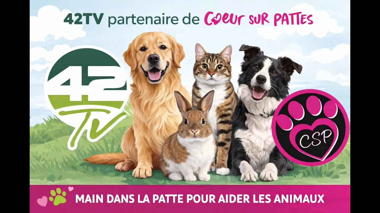 ⁣🚨 Urgence sauvetage : de Saint-Martin à la France, une famille canine en détresse