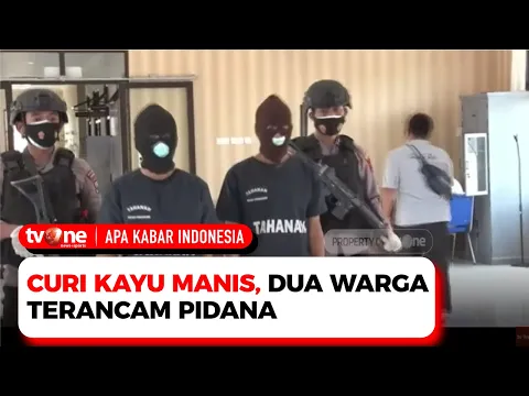 Dua Warga Pencuri Kayu Manis Terancam 5 Tahun Penjara