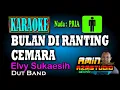Download Lagu BULAN DI RANTING CEMARA Elvy Sukaesih KARAOKE Nada PRIA