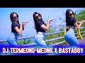 Lagu DJ TERMEONG MEONG X BASTAB0Y