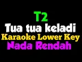 Download Lagu Tua Tua Keladi Karaoke Lower Key Nada Rendah