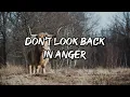 Don't Look Back in Anger by Oasis with Lyrics (Felix Irwan Cover)
