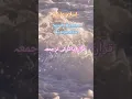 Download Lagu سرہ رحمٰن کی ترجمعہ Surah Rahman translate #nature #surah mubinkitakrar #love #tilawatvoiceinthe