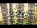 Pance Pondaag - Biasa Biasa Saja (Official Lyric Video)