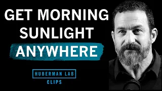 How to Get Morning Light Without Direct Sunshine
