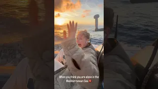 Nothing like jump scaring Silje a bit in the middle of the Mediterranean Sea👹