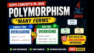 312 Polymorphism Compile Time and Run Time OOPS Concept in Java Selenium Java 2026
