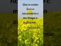 Download Lagu Só o necessário...