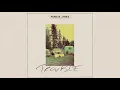 Fergus James - Trouble (Official Audio)