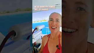 Let’s go DIVE WITH SHARKS! 🦈😱 #sharkdive #sharks #sharkweek