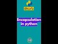 encapsulation in python