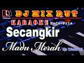 Download Lagu Secangkir Madu Merah - Karaoke (Nada Pria) Itje Trisnawati || Dj Remix Dut Orgen Tunggal