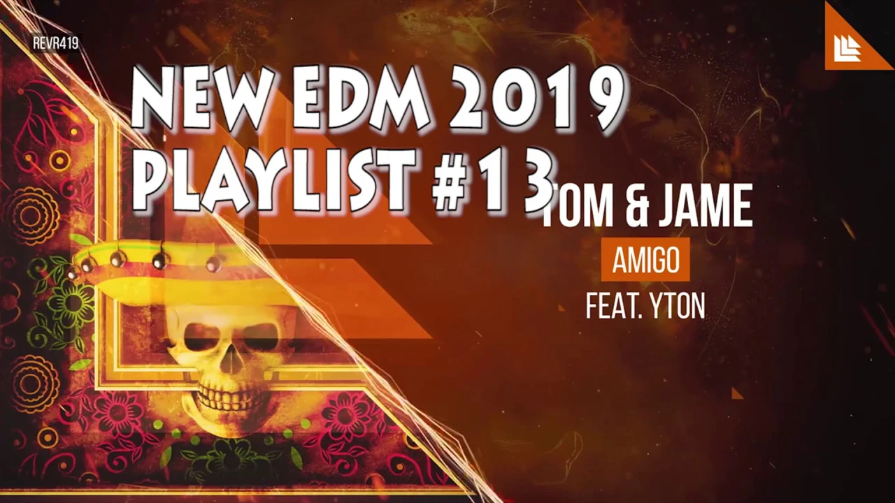 NEW EDM 2019 #13