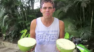  becomingfilipino miracle fruit calabash 