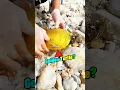 Download Lagu Amazing Treasure Finds☠️