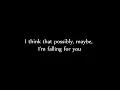 Falling in Love at a Coffee Shop by Landon Pigg (w/ lyrics)