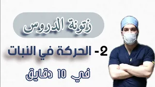 الحركة في النبات في ١٠ دقايق دندنها