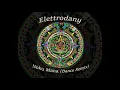 Elettrodany - Noku Mana (dance remix)