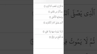 سورة الأعلى بصوت السيد عبدالملك بدرالدين الحوثي  سورة الأعلى بصوت السيد عبدالملك بدرالدين الحوثي