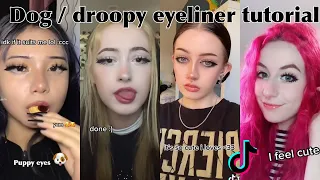 DOG DROOPY EYELINER TUTORIAL TIKTOK COMPILATION