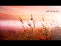 Relaxing Instrumental Music for Focus, Studying, Chill-out | relaxdaily B-Sides N°1