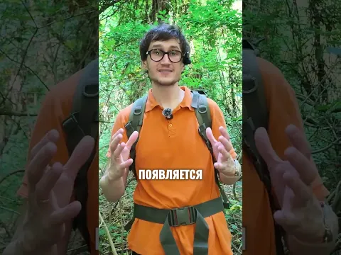 В чём суть трейдинга