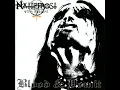 Download Lagu Nattefrost - The Gate of Nanna