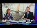 Savanna Brito takes a look at tornado damage in Mattoon IL