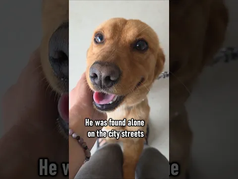 Found Alone on the Streets