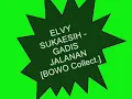ELVY SUKAESIH -  GADIS JALANAN [BOWO Collect .]