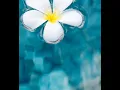 Download Lagu Digital Healing Therapy Signal