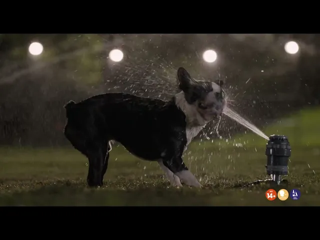 Doggy Style | Clip 'Homeown'