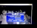 PROOF REAL MONEY COOL CAT CASINO WATCH