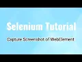 Selenium 4 Tutorial Capture Screenshot of WebElement