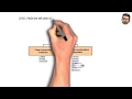 Introduction to Functions Part 2
