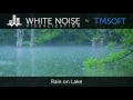 Rain on Lake - 1 Hour Relaxing Sleep Sound