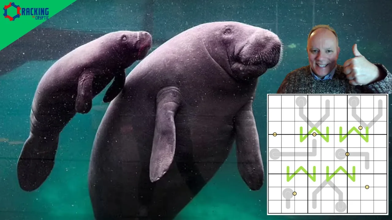 Cutest Sudoku in the Sea?