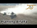 How We Plant Alfalfa for High Quality Hay