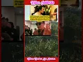 Download Lagu Akhirnya Yang Ditunggu- Tunggu Datang Juga