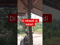 kita usahakan lagi #liriklagu #pesawahan #kerajinan #lagu #diycrafts