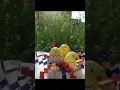 Cute Chicks Painting on Egg Egg Painting Idea