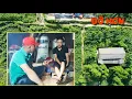 Download Lagu Bác Hinh Ở Hà Nội Hỗ Trợ Cho Em Sính, Tình Hình Sức Khỏe Hiện Tại Ra Sao? NẮNG MAI TV
