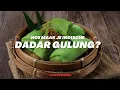 Download Lagu Hoe maak je Indische Dadar Gulung?