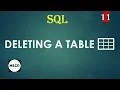11 Deleting a Table
